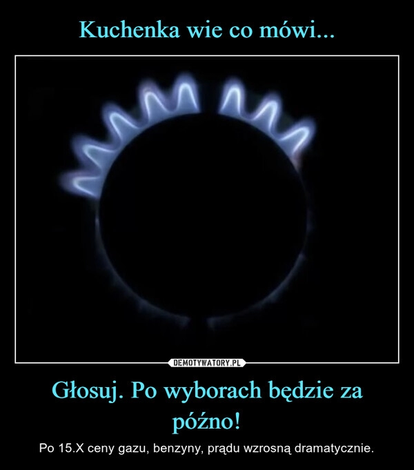 
    Kuchenka wie co mówi... Głosuj. Po wyborach będzie za późno!