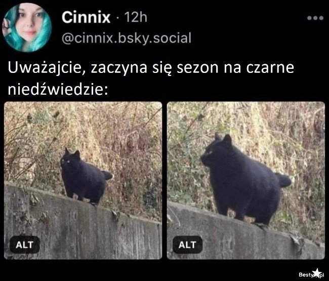 
    Sezon na niedźwiedzie 