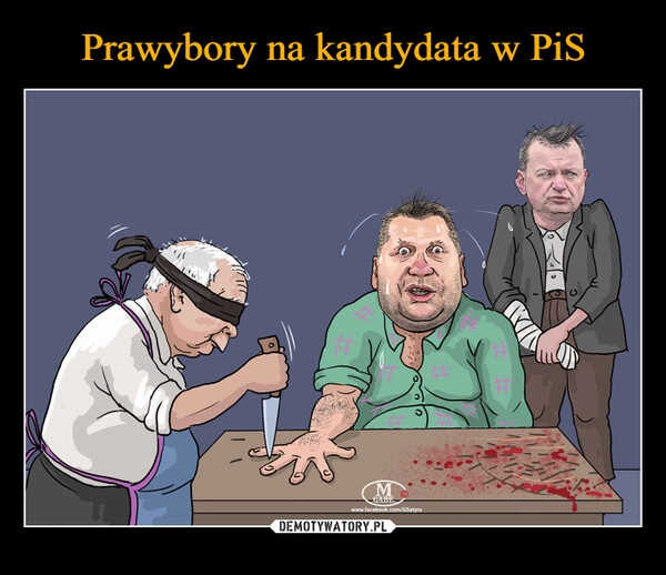 
    Prawybory na kandydata w PiS