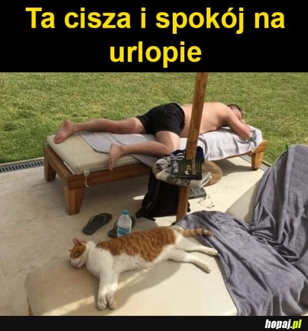 
    Cisza i spokój