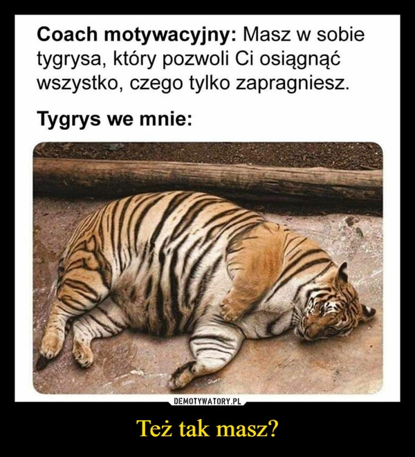 
    Też tak masz?