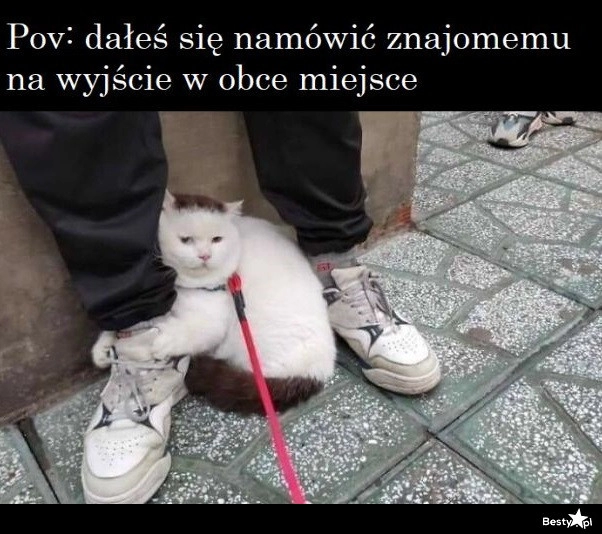 
    Wyjście w obce miejsce 