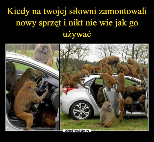 
    Kiedy na twojej siłowni zamontowali nowy sprzęt i nikt nie wie jak go używać