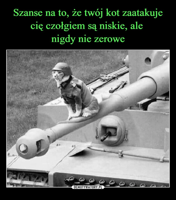 
    Szanse na to, że twój kot zaatakuje cię czołgiem są niskie, ale 
nigdy nie zerowe