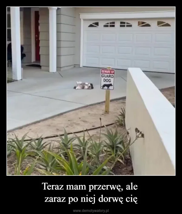 
    Teraz mam przerwę, ale zaraz po niej dorwę cię
