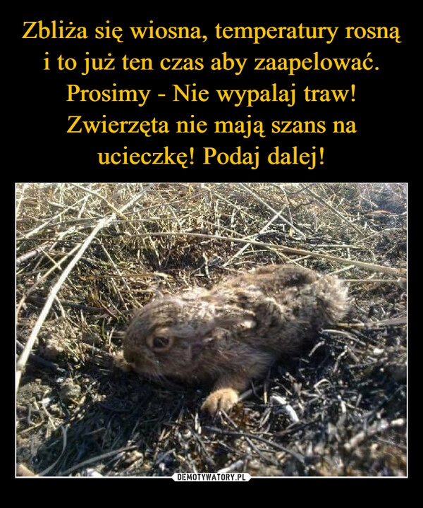 
    Zbliża się wiosna, temperatury rosną i to już ten czas aby zaapelować. Prosimy - Nie wypalaj traw! Zwierzęta nie mają szans na ucieczkę! Podaj dalej!