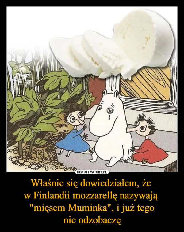 
    Właśnie się dowiedziałem, że w Finlandii mozzarellę nazywają 