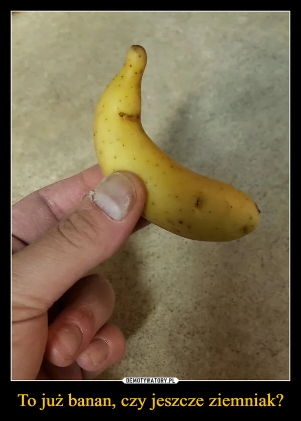 
    To już banan, czy jeszcze ziemniak?