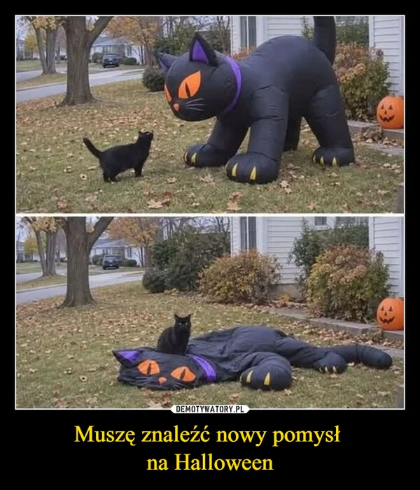 
    Muszę znaleźć nowy pomysł na Halloween