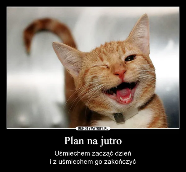 
    Plan na jutro