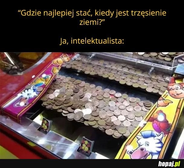 
    Duży mózg