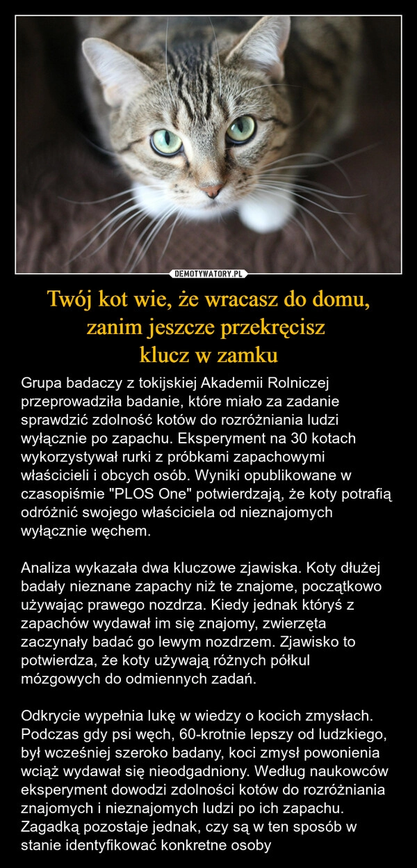 
    Twój kot wie, że wracasz do domu, zanim jeszcze przekręcisz 
klucz w zamku