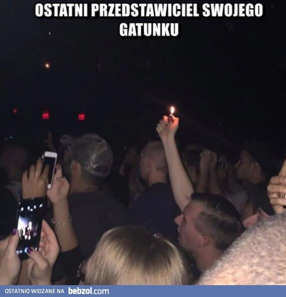 
    Ostatni przedstawiciel