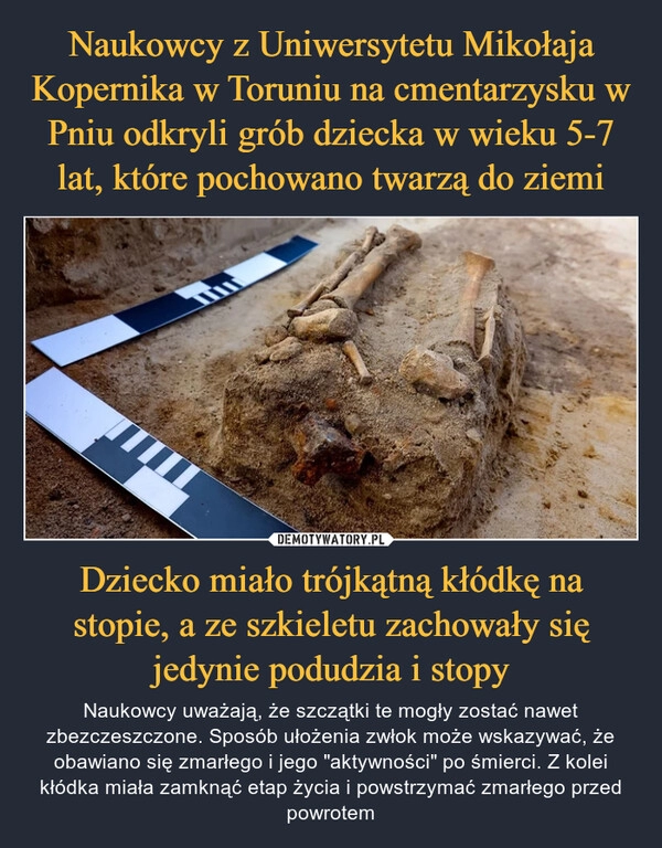 
    Naukowcy z Uniwersytetu Mikołaja Kopernika w Toruniu na cmentarzysku w Pniu odkryli grób dziecka w wieku 5-7 lat, które pochowano twarzą do ziemi Dziecko miało trójkątną kłódkę na stopie, a ze szkieletu zachowały się jedynie podudzia i stopy