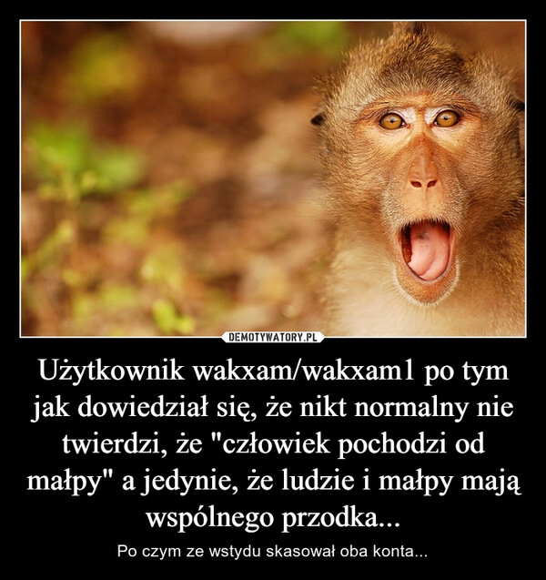 
    Użytkownik wakxam/wakxam1 po tym jak dowiedział się, że nikt normalny nie twierdzi, że "człowiek pochodzi od małpy" a jedynie, że ludzie i małpy mają wspólnego przodka... 