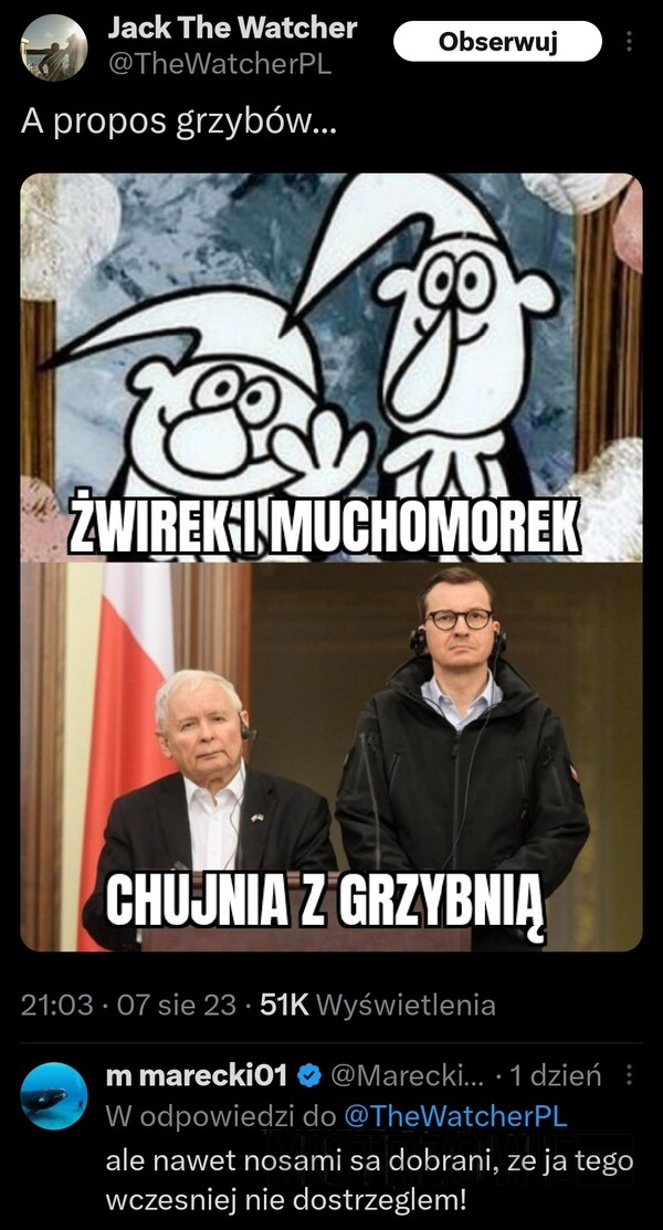 
    Żwirek i Muchomorek