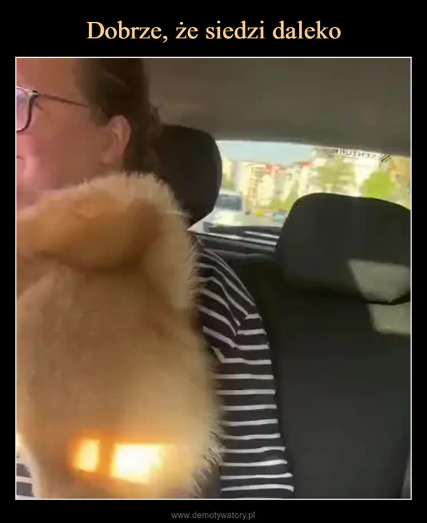 
    Dobrze, że siedzi daleko