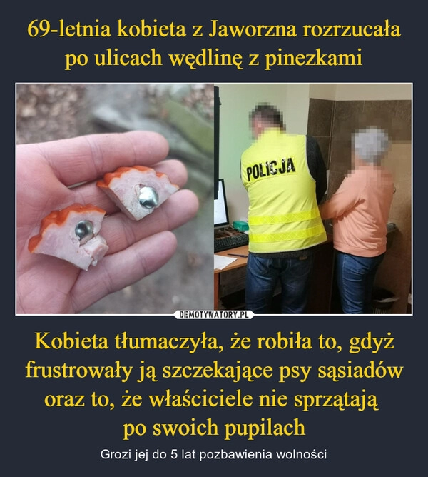 
    69-letnia kobieta z Jaworzna rozrzucała po ulicach wędlinę z pinezkami Kobieta tłumaczyła, że robiła to, gdyż frustrowały ją szczekające psy sąsiadów oraz to, że właściciele nie sprzątają 
po swoich pupilach