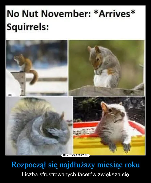 
    Rozpoczął się najdłuższy miesiąc roku