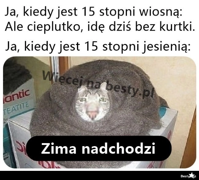 
    Czuć zimę w powietrzu 