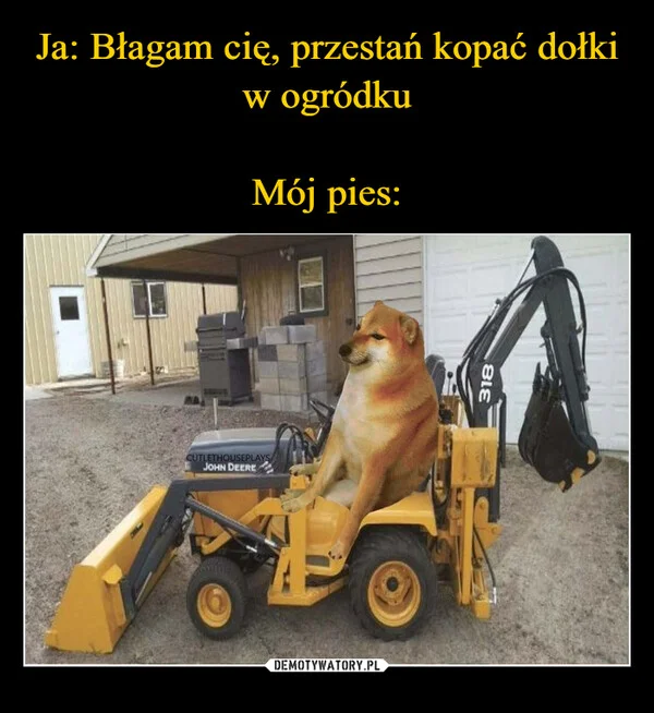 
    Ja: Błagam cię, przestań kopać dołki w ogródku Mój pies: