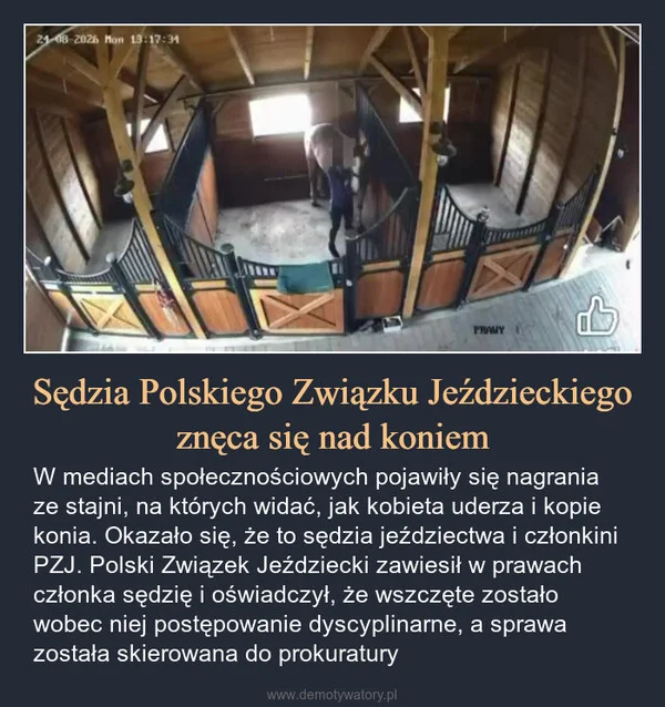 
    Sędzia Polskiego Związku Jeździeckiego znęca się nad koniem