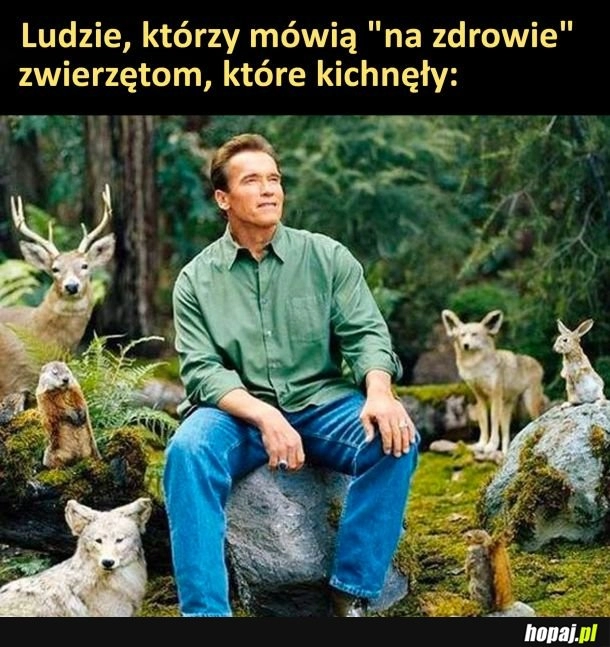 
    Na zdrówko