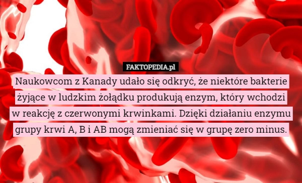 
    
			Naukowcom z Kanady udało się odkryć, że niektóre bakterie żyjące w ludzkim...					