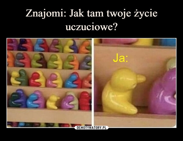 
    Znajomi: Jak tam twoje życie uczuciowe?