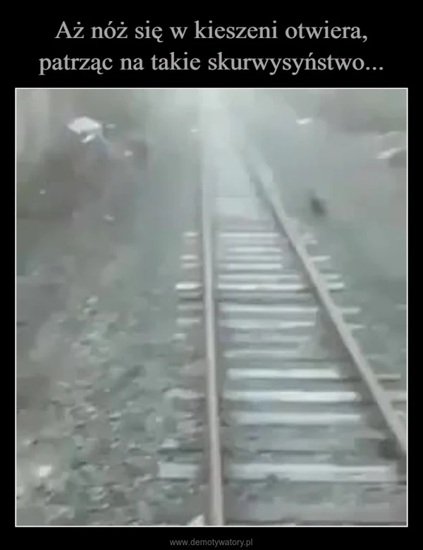 
    Aż nóż się w kieszeni otwiera, patrząc na takie skurwysyństwo...