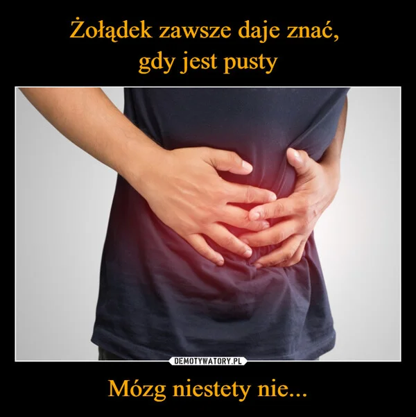 
    Żołądek zawsze daje znać, gdy jest pusty Mózg niestety nie...