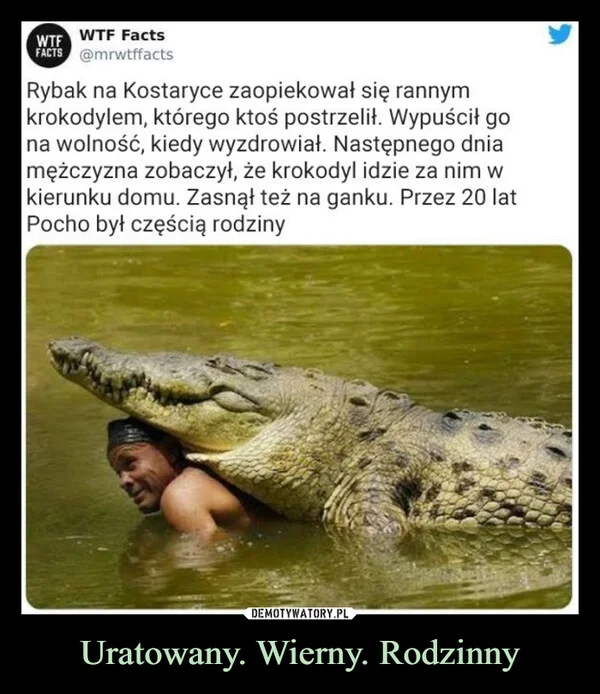 
    Uratowany. Wierny. Rodzinny