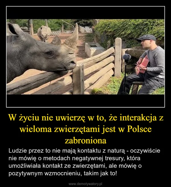 W życiu nie uwierzę w to, że interakcja z wieloma zwierzętami jest w Polsce zabroniona