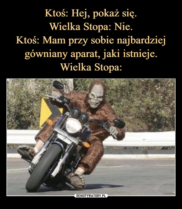 
    Ktoś: Hej, pokaż się.
Wielka Stopa: Nie.
Ktoś: Mam przy sobie najbardziej gówniany aparat, jaki istnieje.
Wielka Stopa: