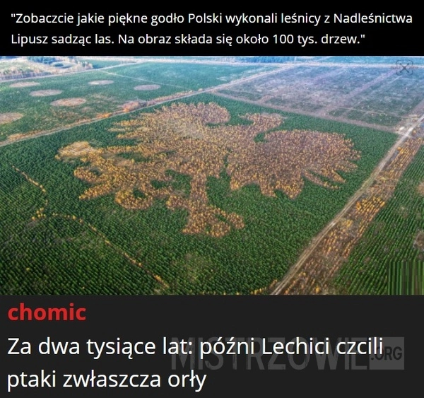 
    Godło