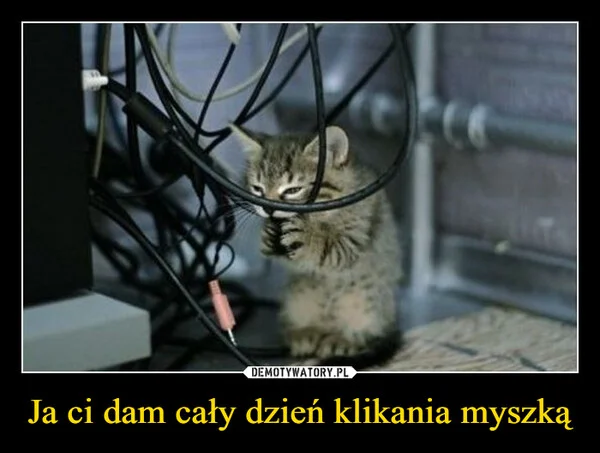 
    Ja ci dam cały dzień klikania myszką