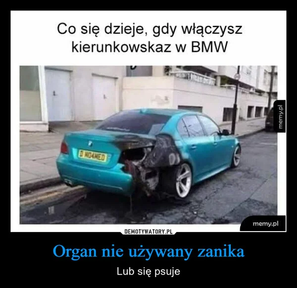 Organ nie używany zanika