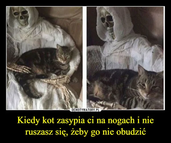 
    Kiedy kot zasypia ci na nogach i nie ruszasz się, żeby go nie obudzić