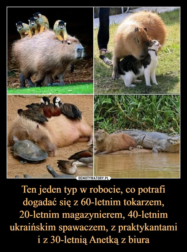 
    Ten jeden typ w robocie, co potrafi dogadać się z 60-letnim tokarzem, 20-letnim magazynierem, 40-letnim ukraińskim spawaczem, z praktykantami i z 30-letnią Anetką z biura