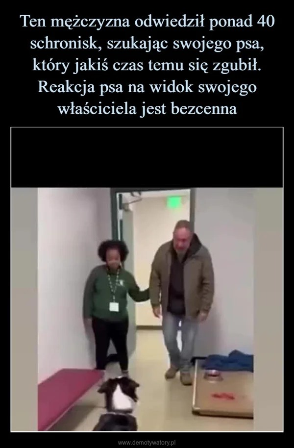 
    Ten mężczyzna odwiedził ponad 40 schronisk, szukając swojego psa, który jakiś czas temu się zgubił. Reakcja psa na widok swojego właściciela jest bezcenna