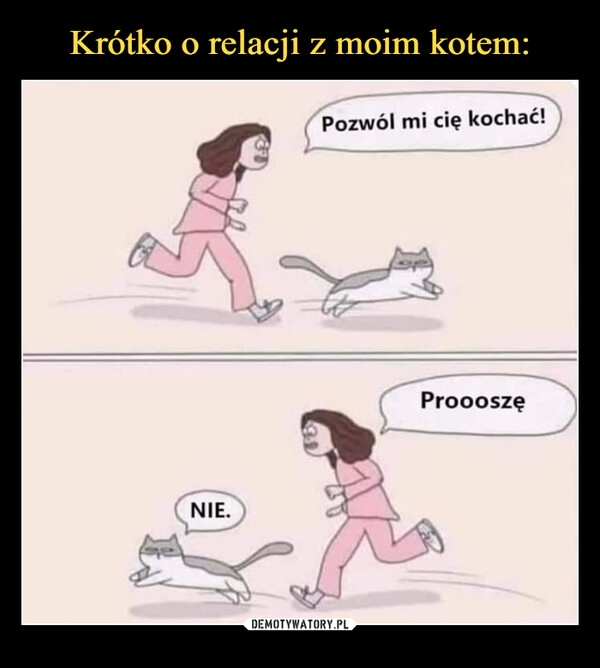 
    Krótko o relacji z moim kotem: 