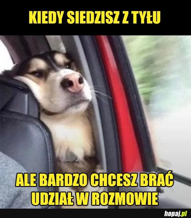 
    Co tam ziomeczki