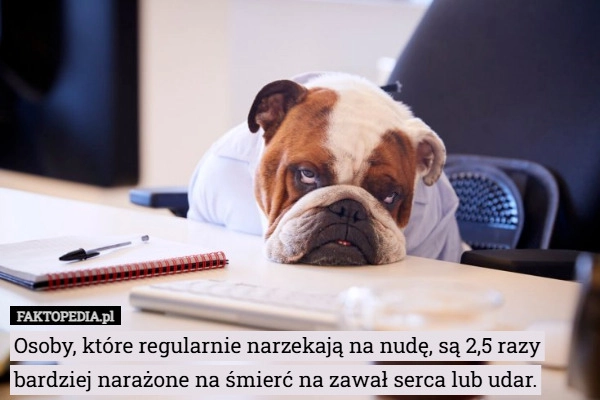 
    Osoby, które regularnie narzekają na nudę, są 2,5 razy bardziej narażone