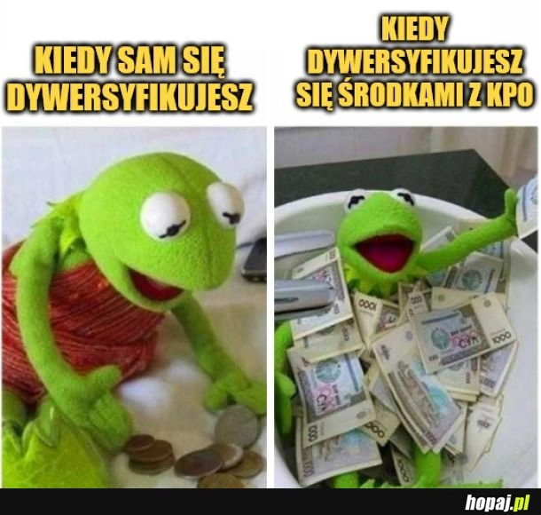 
    Dywersyfikacja. 
