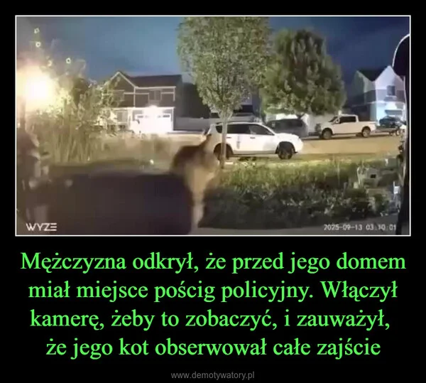 
    Mężczyzna odkrył, że przed jego domem miał miejsce pościg policyjny. Włączył kamerę, żeby to zobaczyć, i zauważył, że jego kot obserwował całe zajście