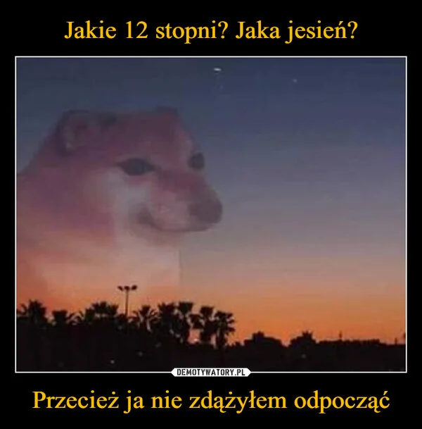 
    Jakie 12 stopni? Jaka jesień? Przecież ja nie zdążyłem odpocząć