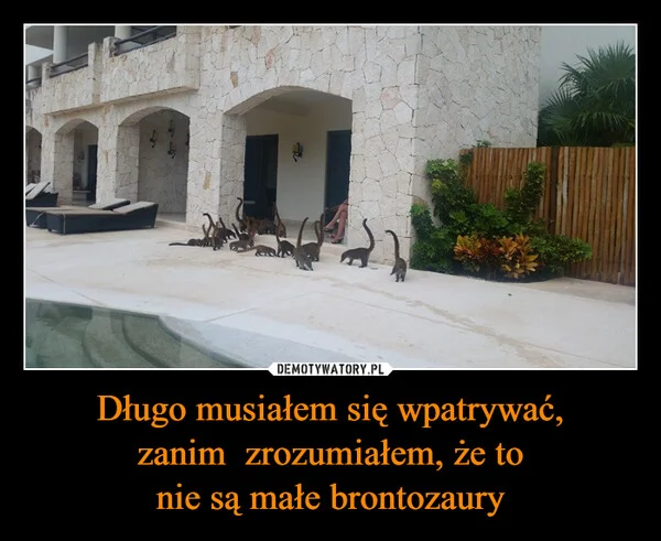 
    Długo musiałem się wpatrywać, zanim zrozumiałem, że to nie są małe brontozaury