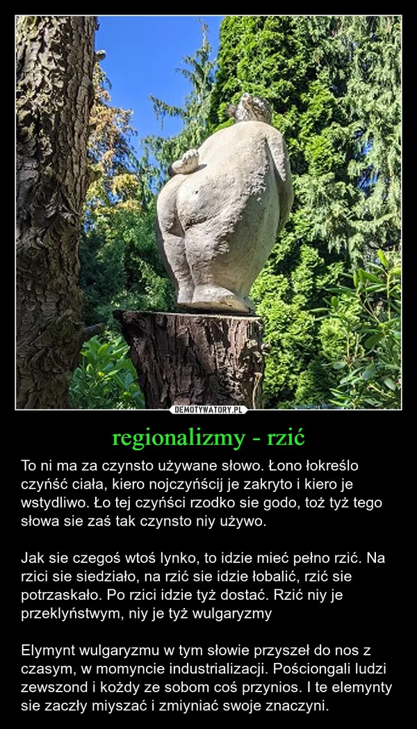 regionalizmy - rzić