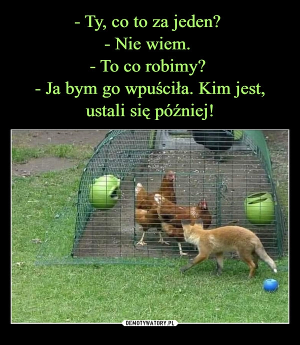 
    - Ty, co to za jeden? 
- Nie wiem. 
- To co robimy? 
- Ja bym go wpuściła. Kim jest, ustali się później!