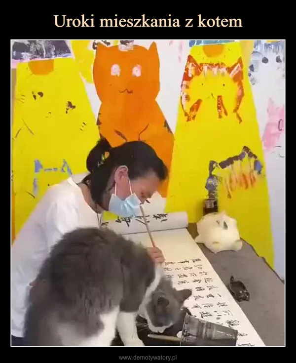 
    Uroki mieszkania z kotem